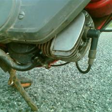 Vespa ciao (byttet)