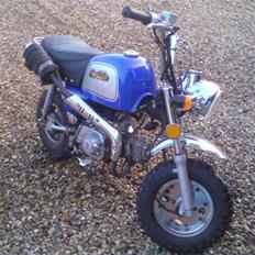 Jincheng Gorilla SOLGT !!