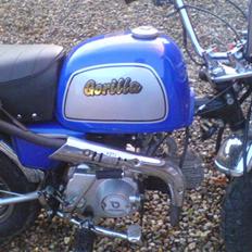 Jincheng Gorilla SOLGT !!