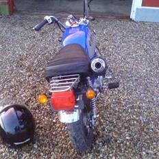 Jincheng Gorilla SOLGT !!