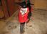 Aprilia Sonic  // Solgt //