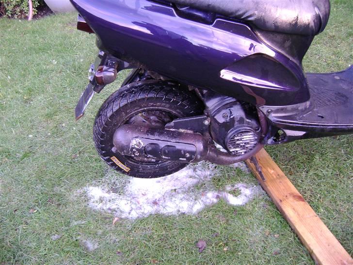 Honda sfx billede 14