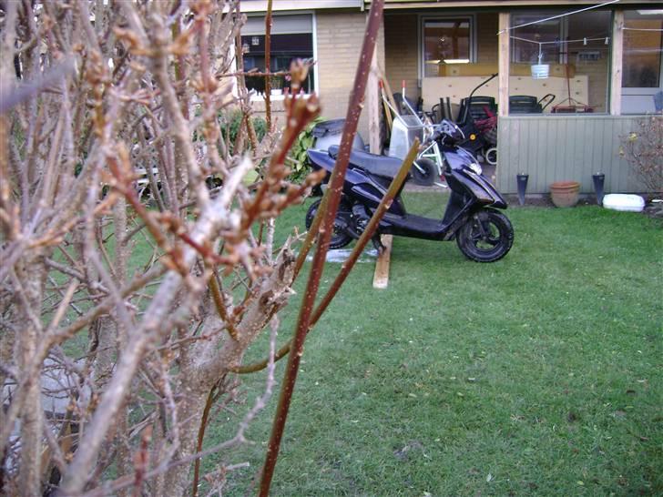 Honda sfx billede 17