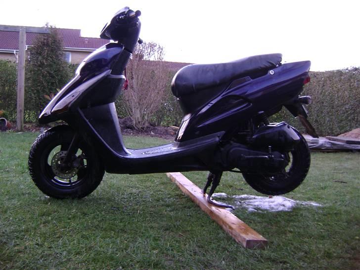 Honda sfx billede 19