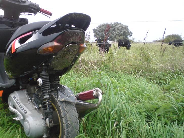 Aprilia Sonic (Byttet) billede 2