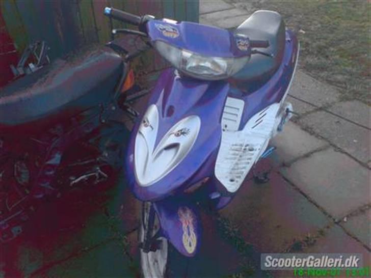 Adly silverfox byttet til jog billede 1