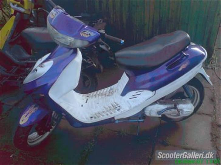 Adly silverfox byttet til jog billede 2