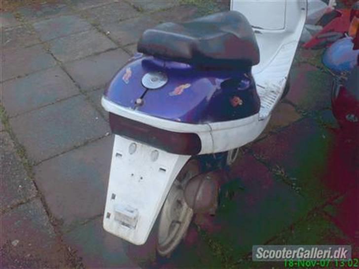 Adly silverfox byttet til jog billede 3