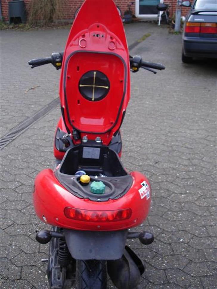 Benelli 491 AC (Efter) (SOLG) billede 15