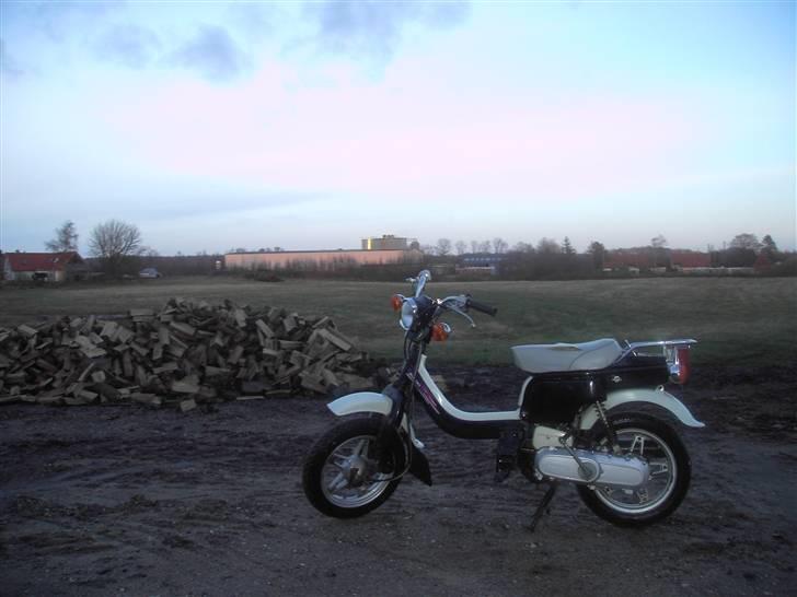 Suzuki FZ50    solgt billede 3