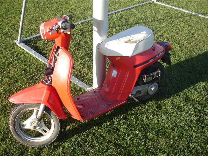 Honda melody **solgt** billede 11