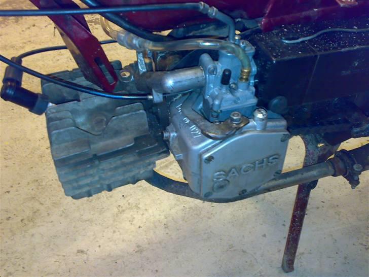 Exactly Foxi *SOLGT* billede 5