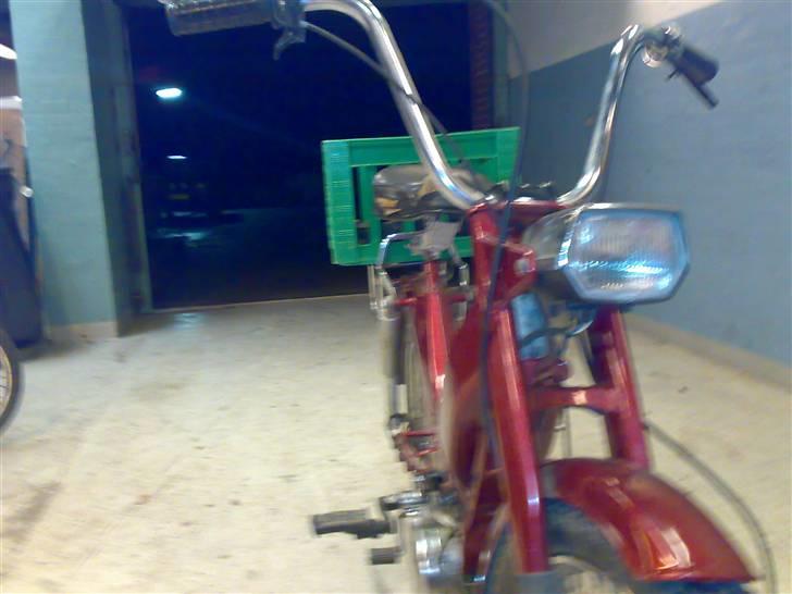 Exactly Foxi *SOLGT* billede 6