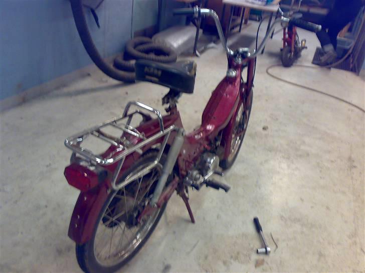 Exactly Foxi *SOLGT* billede 8