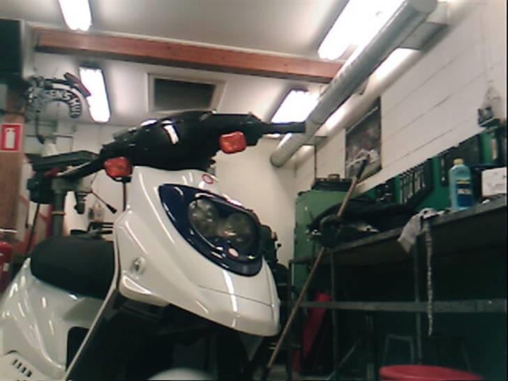 PGO Hot 50 Protjekt..  solgt billede 3