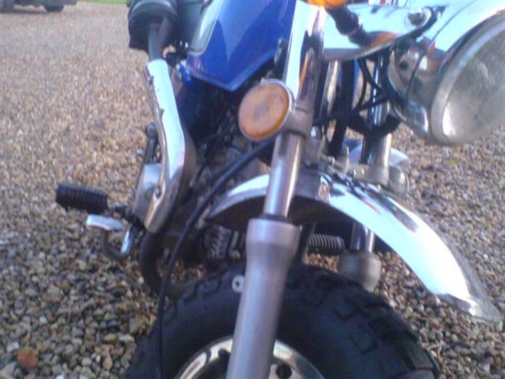 Jincheng Gorilla SOLGT !! billede 4