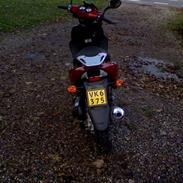 Baotian rebel bytte til rally