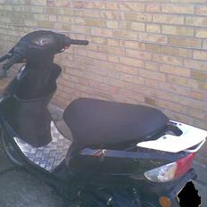 Giantco Sprint projekt