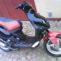 PGO Pmx
