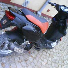 PGO Pmx
