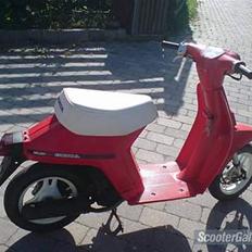Honda * Melody  byttet til hot*