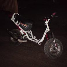 PGO HOT 50 Byttet til Jog