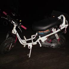 PGO HOT 50 Byttet til Jog