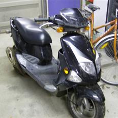 PGO Pinasco DMU #84 Dr. Big