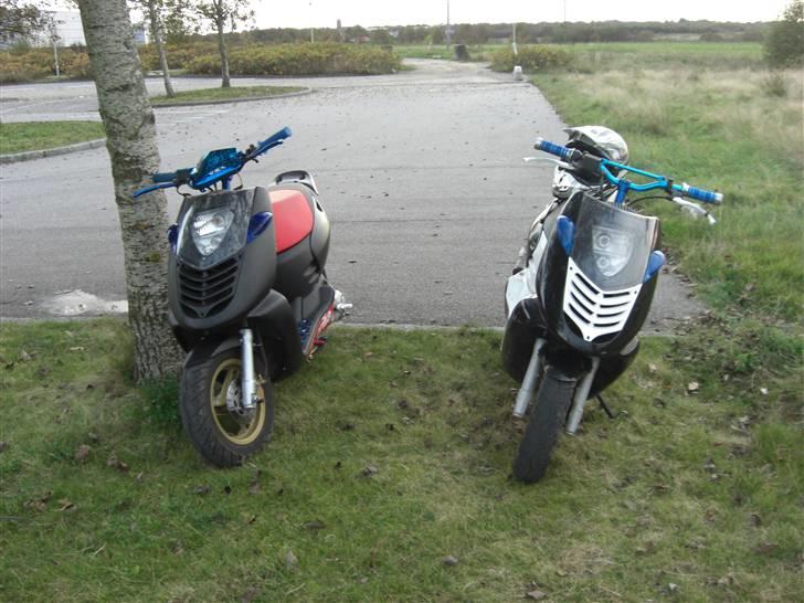 Aprilia Sonic billede 9