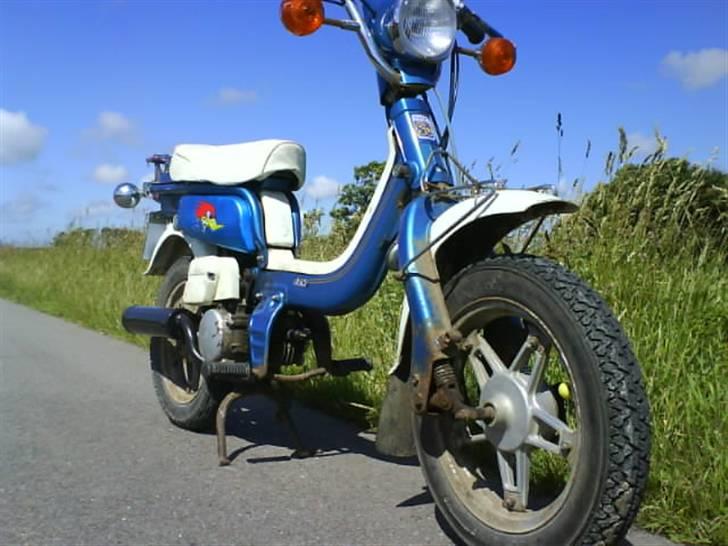 Suzuki Fz 50 - Renoveret billede 1