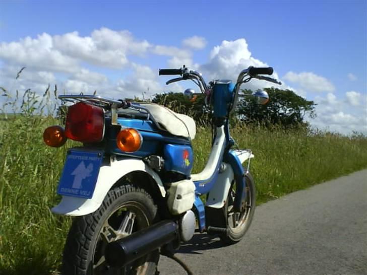 Suzuki Fz 50 - Renoveret billede 2