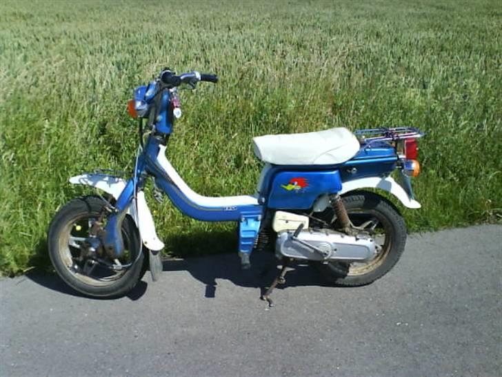 Suzuki Fz 50 - Renoveret billede 8