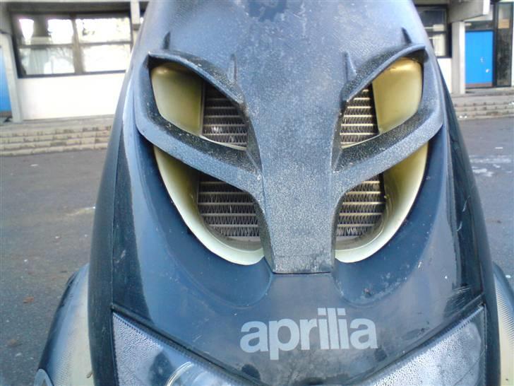 Aprilia sr50 Ditech byttet billede 5