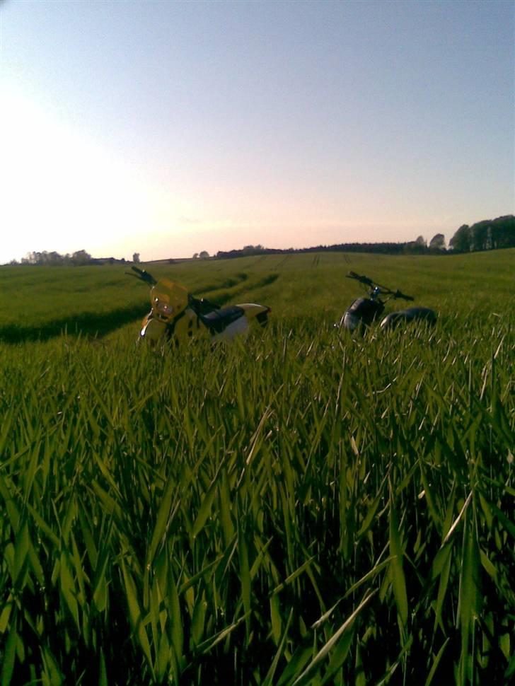 Yamaha slider -TP- billede 18