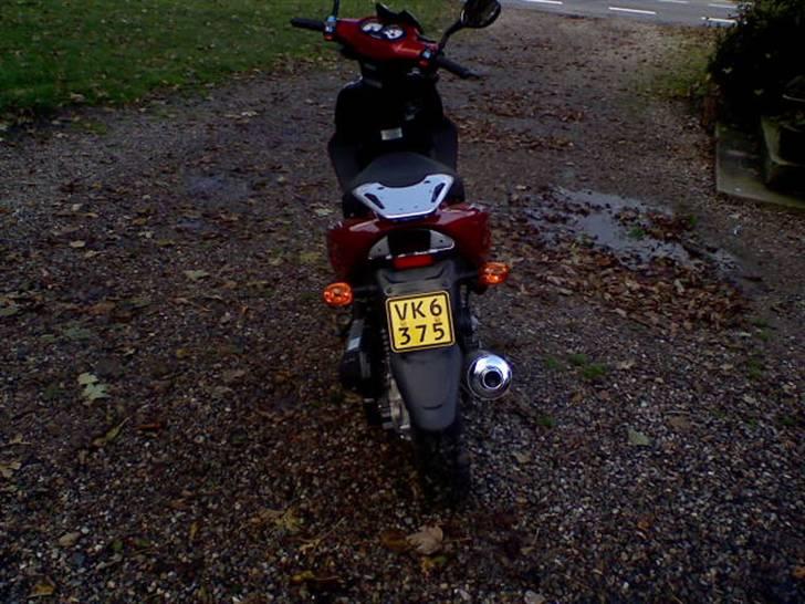 Baotian rebel bytte til rally billede 4
