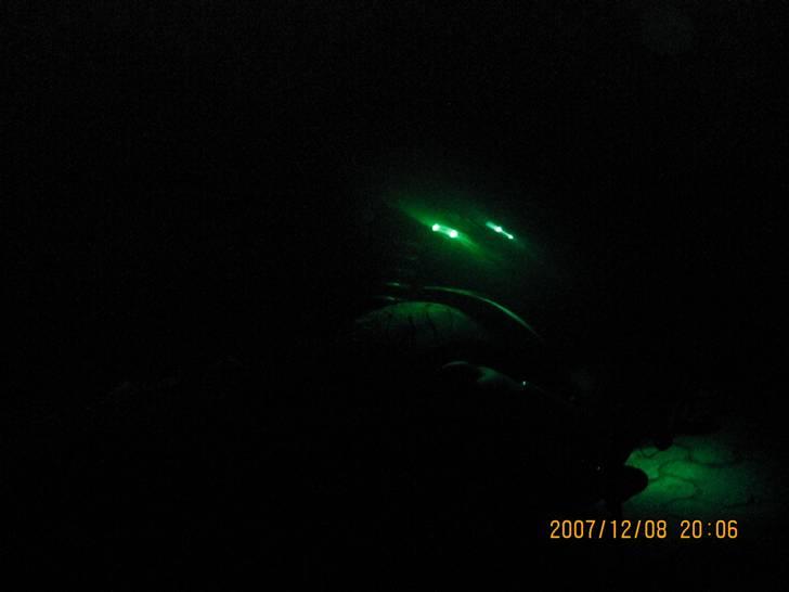 Suzuki Estilete (#SOLGT#) billede 11