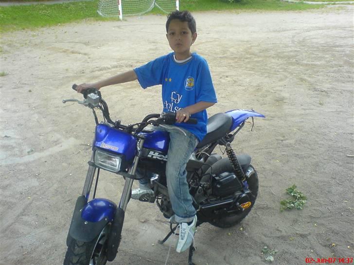 Suzuki Street Magic solggt billede 6