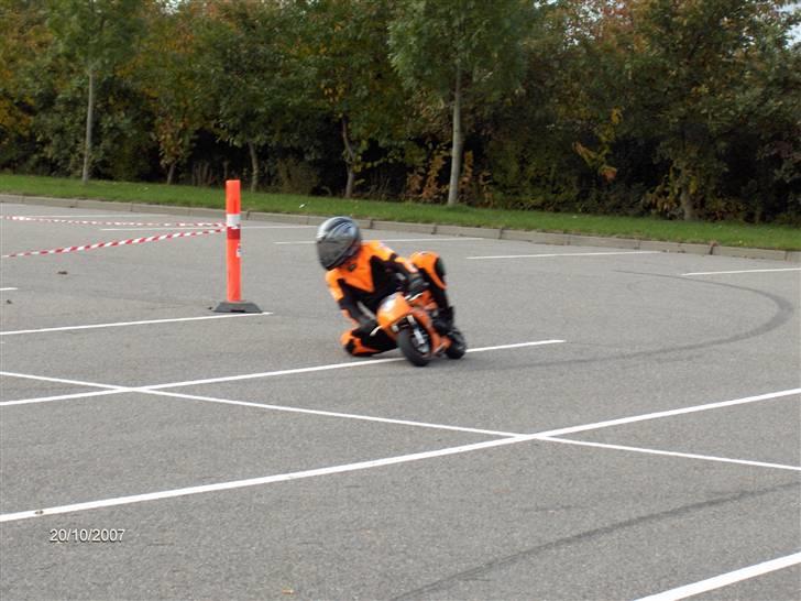 Blata Blata Elite 14 WRS billede 10