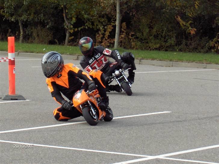 Blata Blata Elite 14 WRS billede 12