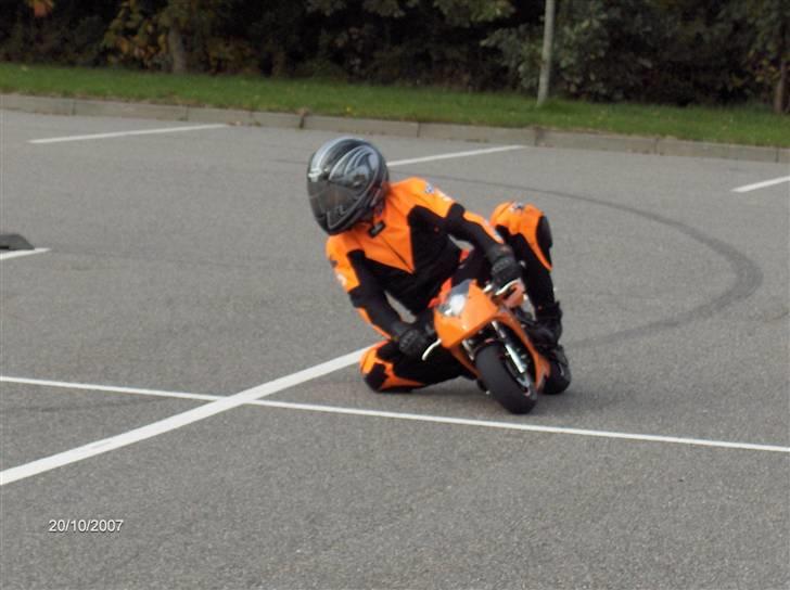 Blata Blata Elite 14 WRS billede 13