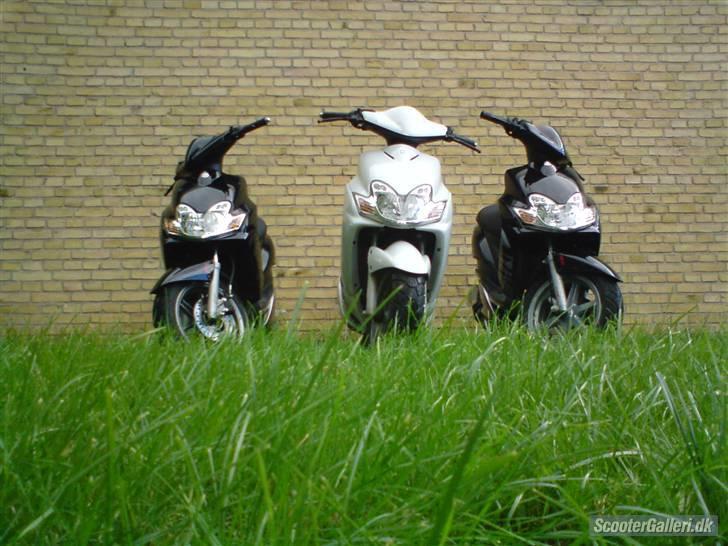 Yamaha JogR '07 - den flotte af dem til højre er min :b billede 14