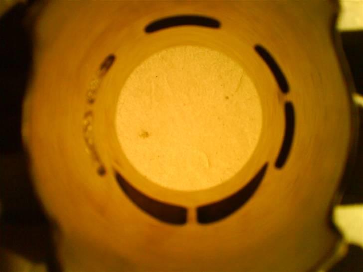 PGO hot 50 billede 6