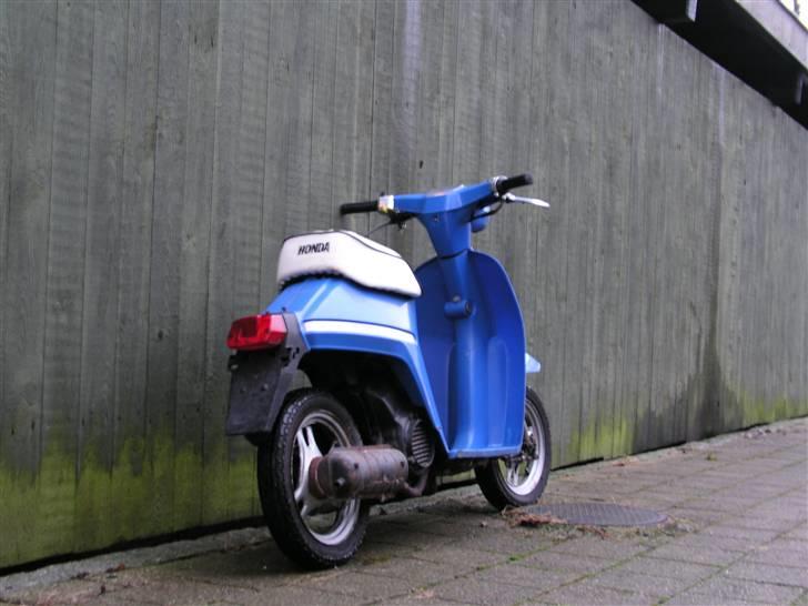 Honda Melody billede 5