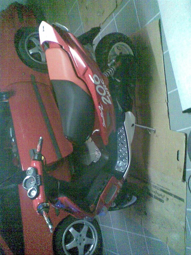 Peugeot 206 wrc billede 3