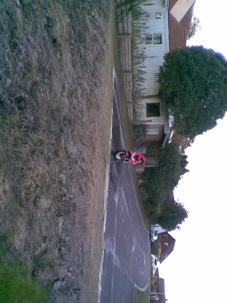 Peugeot 206 wrc billede 9
