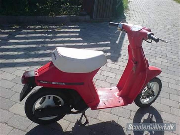 Honda * Melody  byttet til hot* billede 1