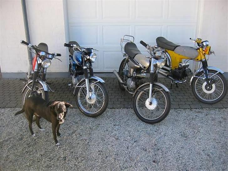 Yamaha 4 gear billede 10