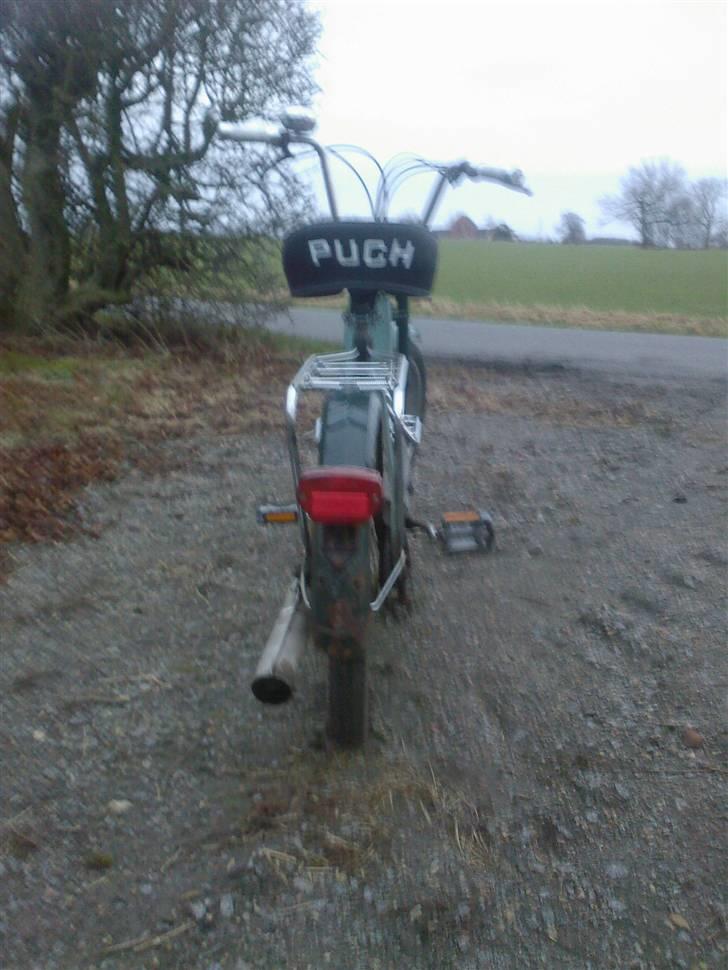 Puch Maxi P billede 8