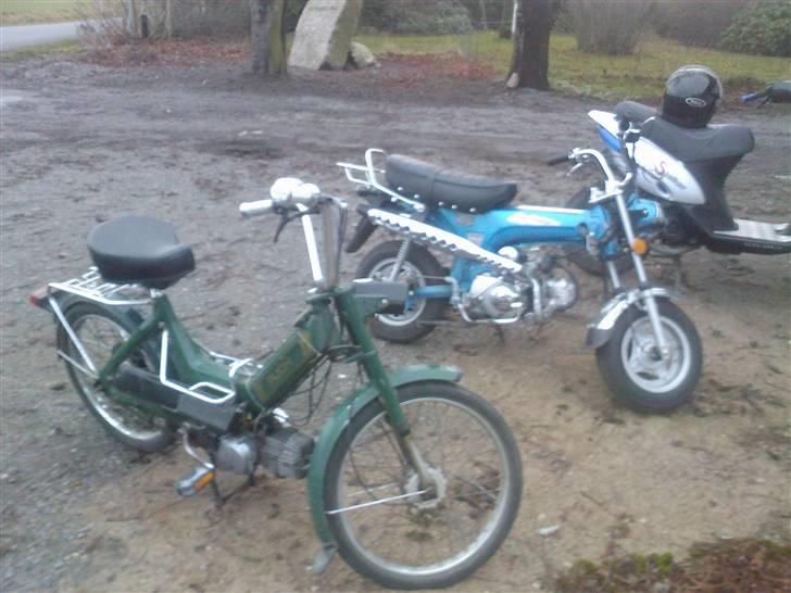 Puch Maxi P billede 15