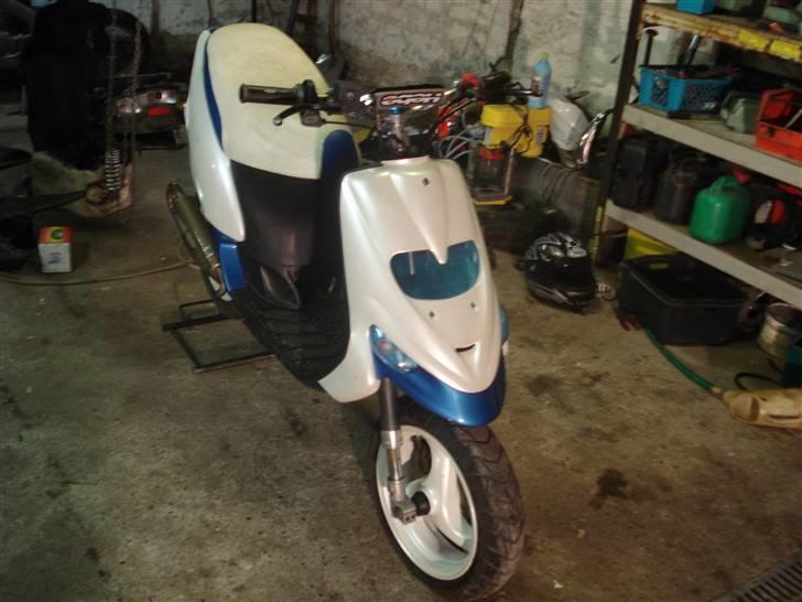 Gilera stalker byttet  - savner dig mit vild dyr billede 1